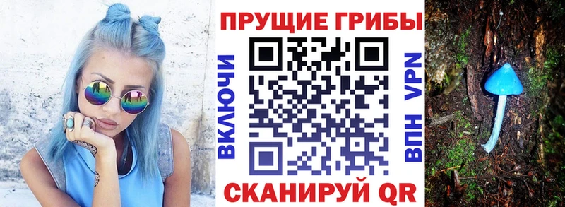 Галлюциногенные грибы мухоморы Севастополь