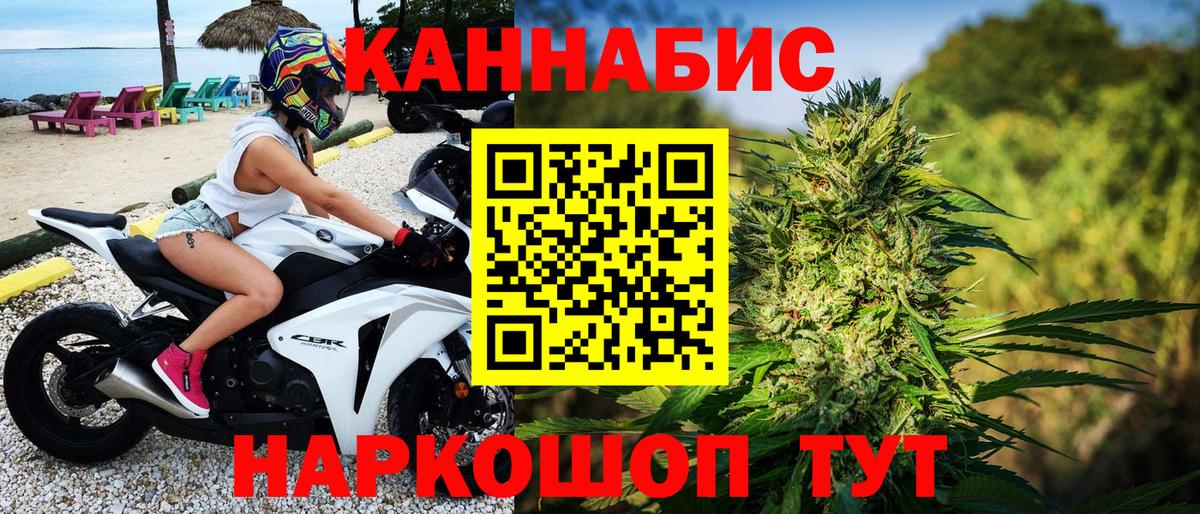 Бошки Шишки MAZAR Севастополь
